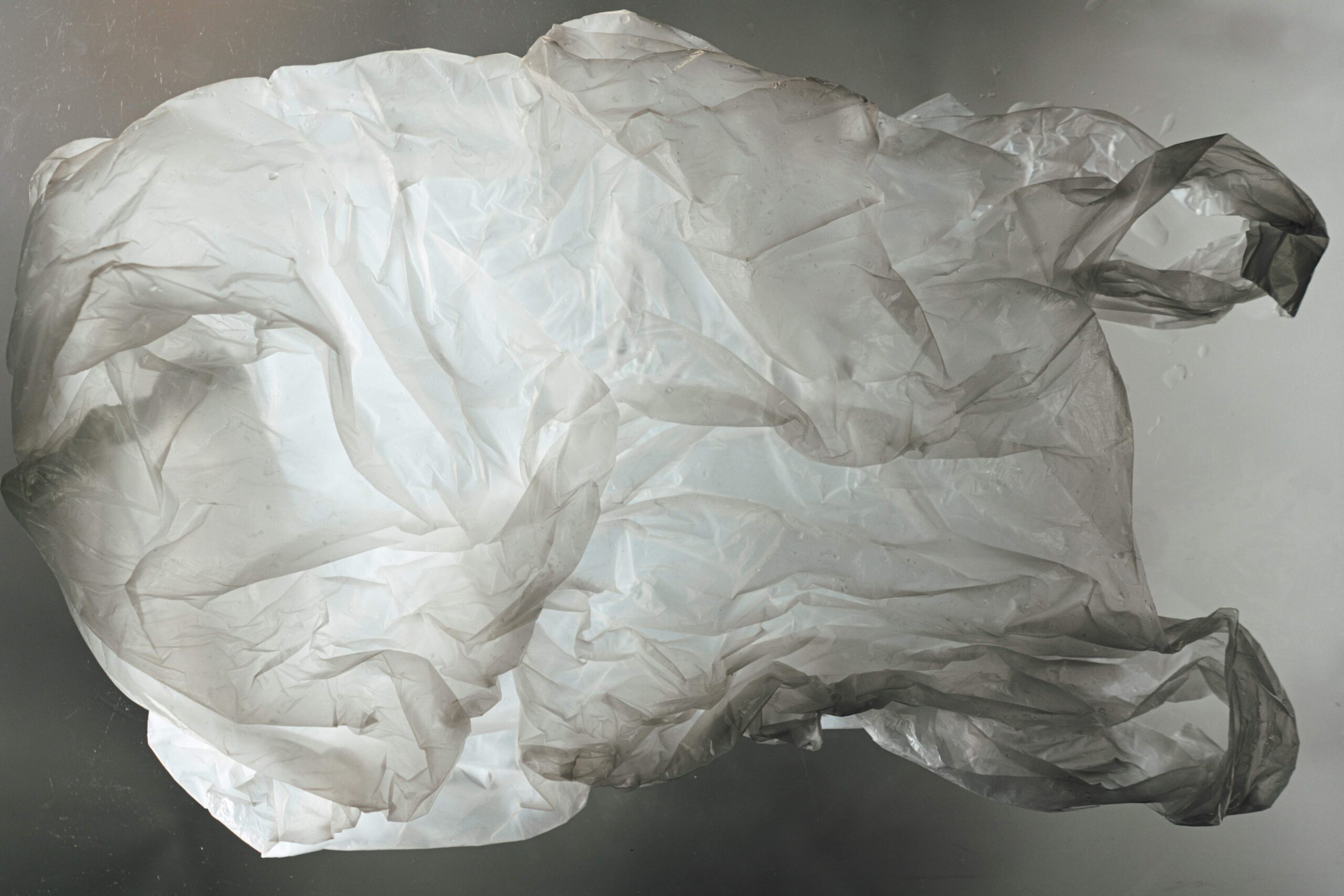 California Revisiting the Plastic Bag Ban